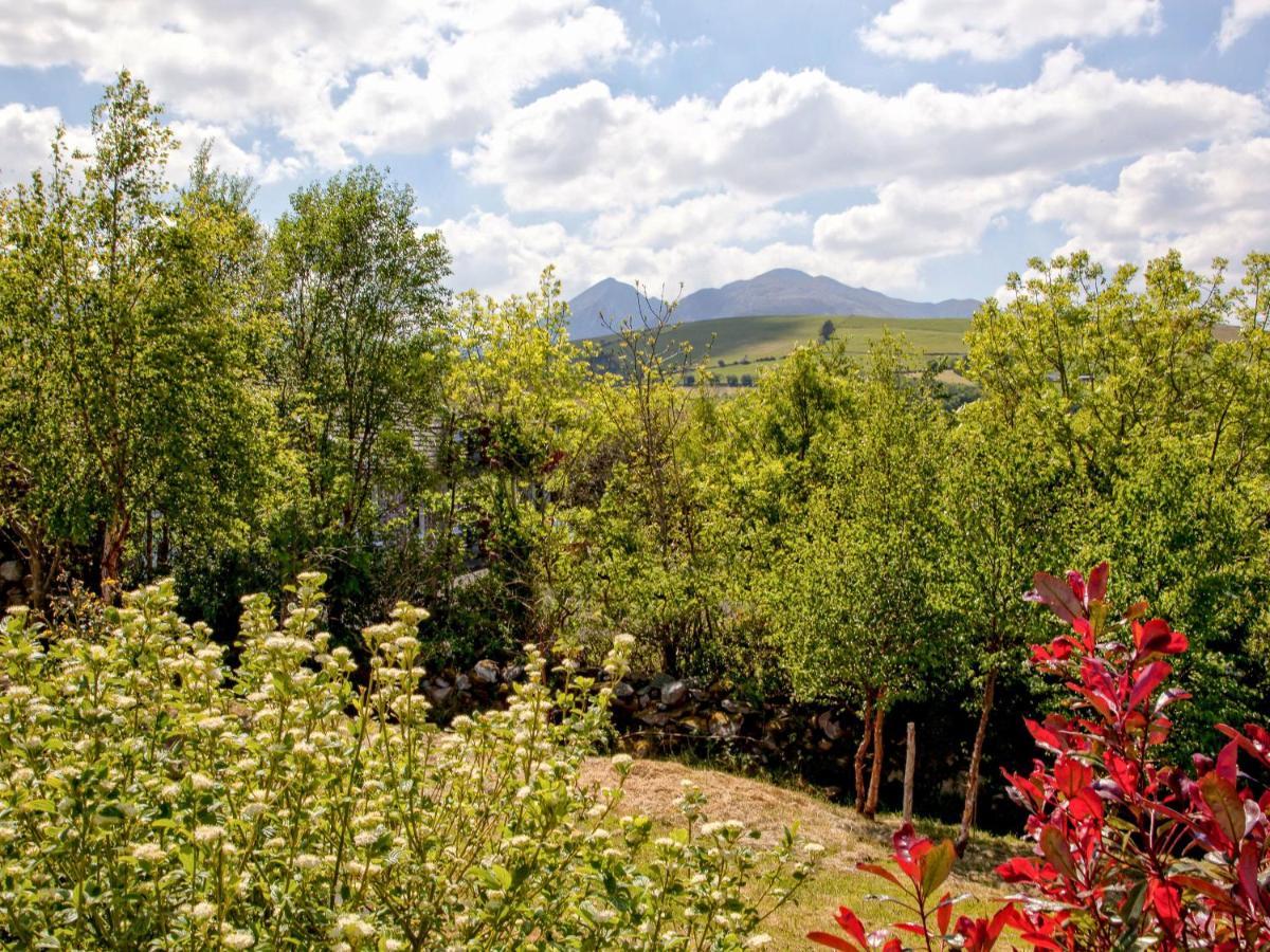 Silver Birch House Laune Bridge Екстер'єр фото